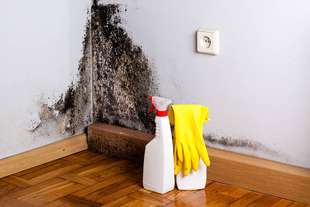 Water damage restoration process in Hewlett Harbor, NY